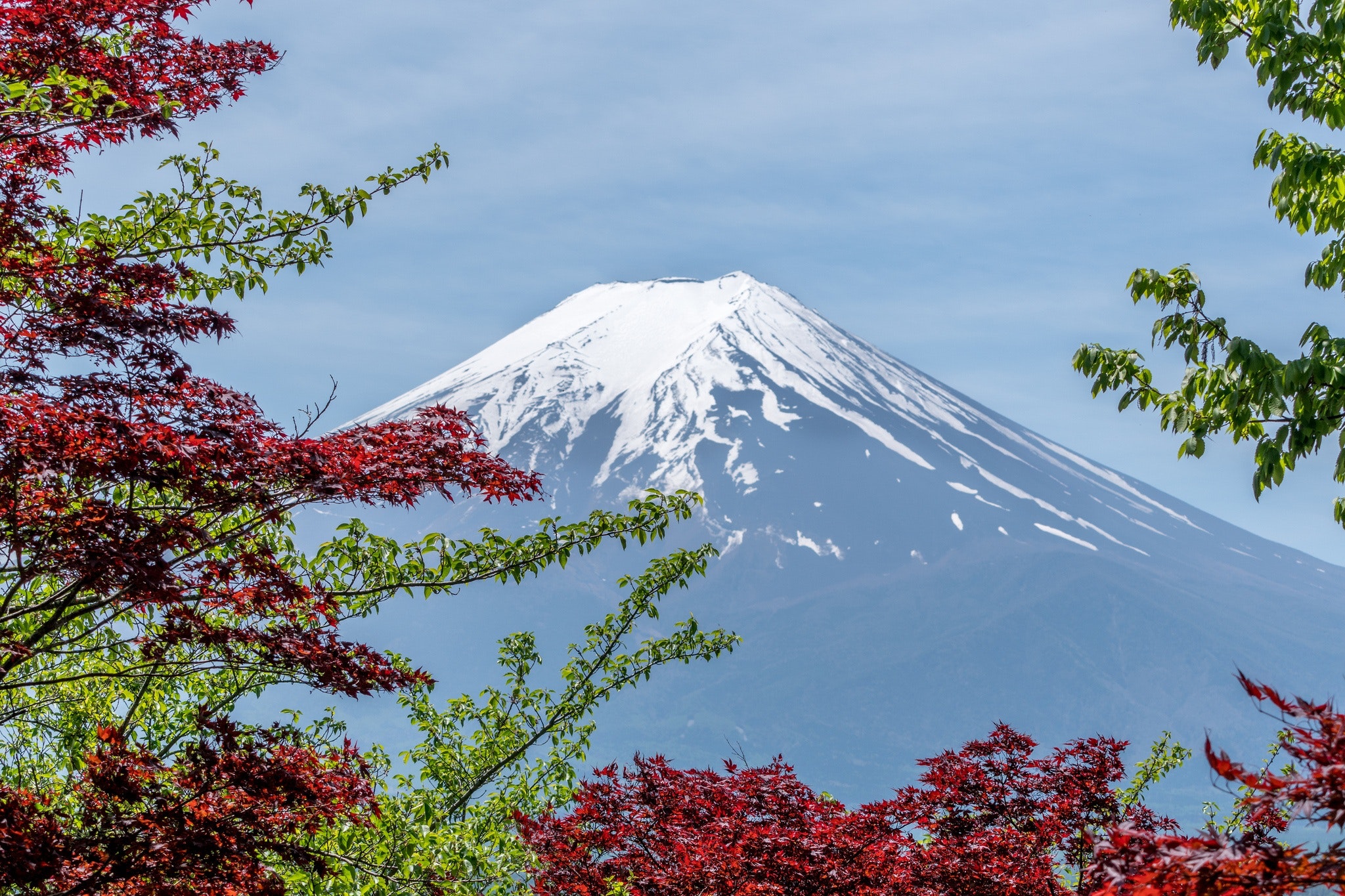 Fuji Pixabay