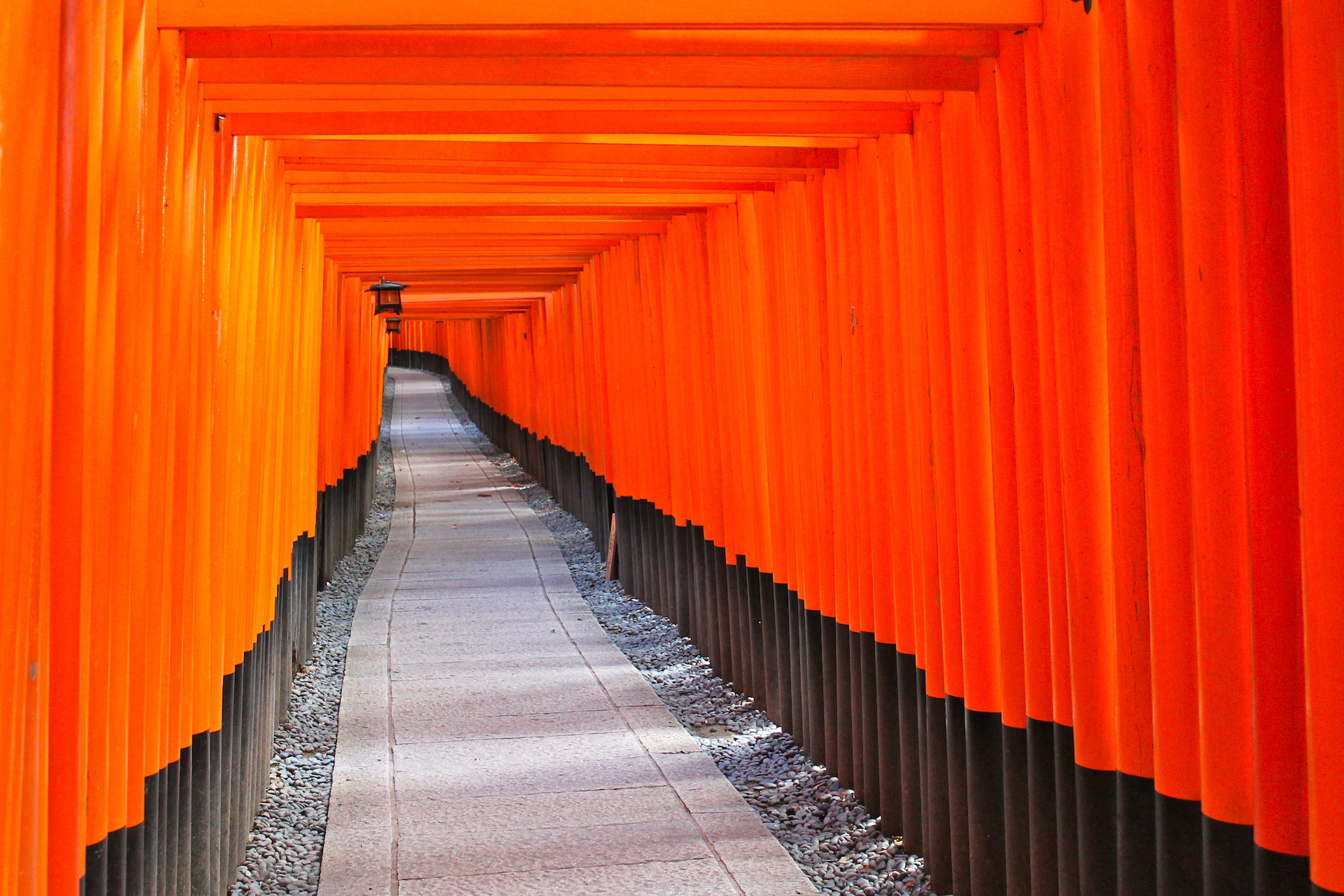 Torii