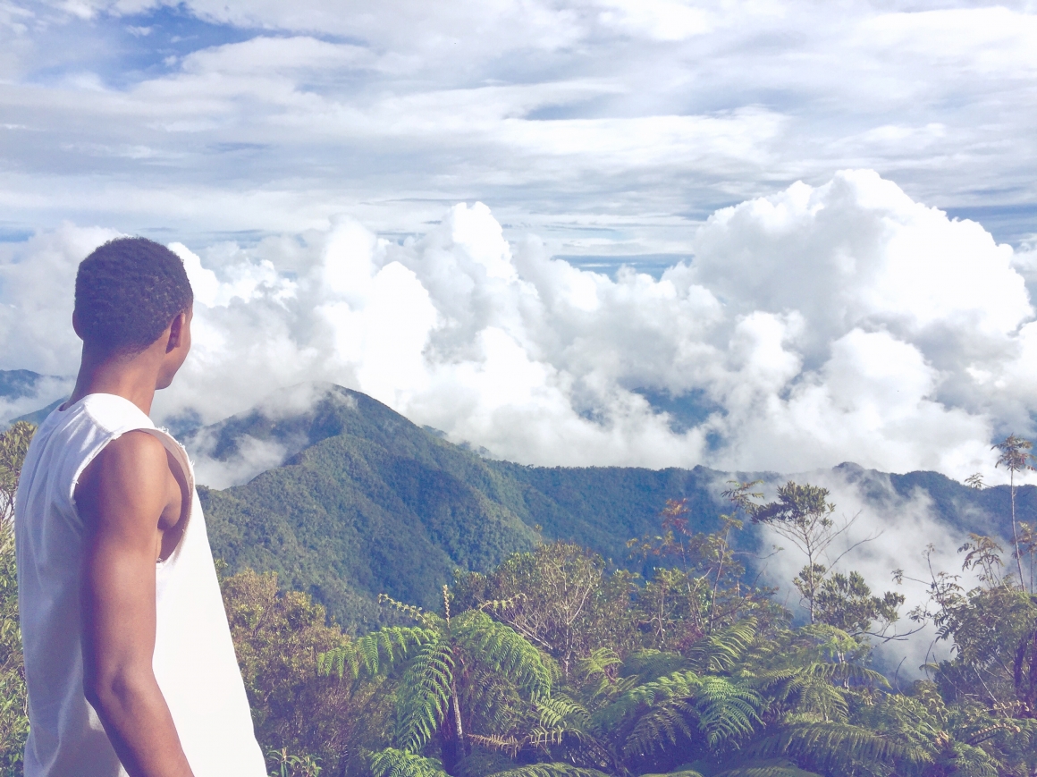 Mt View