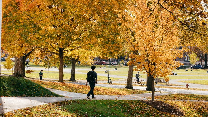 Campus Foliage