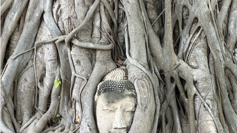 Buddha at Ayutthaya – UNESCO World Heritage Site