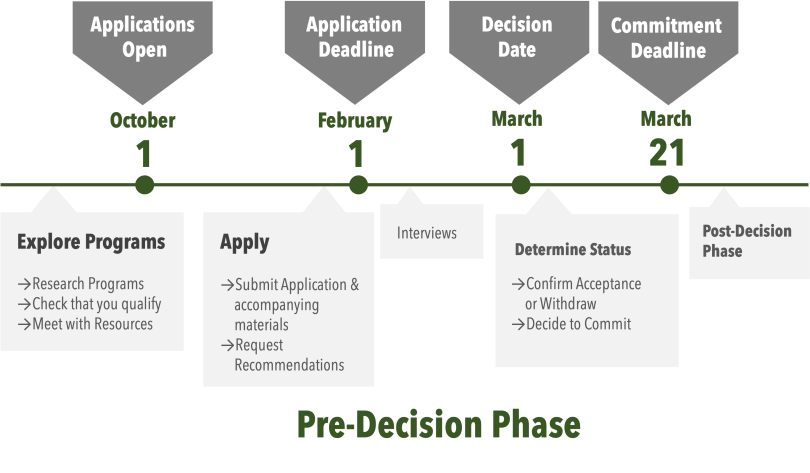 Timeline illustrating the pre-decision phase